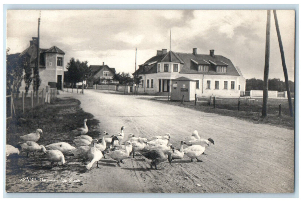 c1920's Ducks Street motif from Skanor Skane Sweden Antique RPPC Photo Postcard