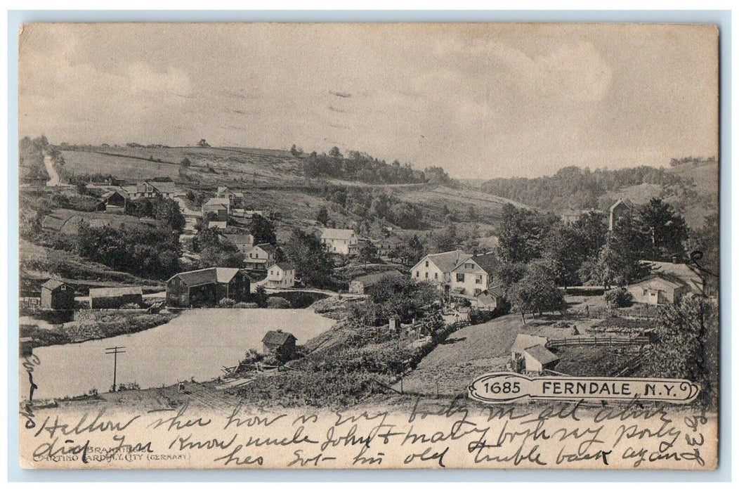 1923 Aerial View Buildings Houses Trees Street Ferndale New York Posted Postcard