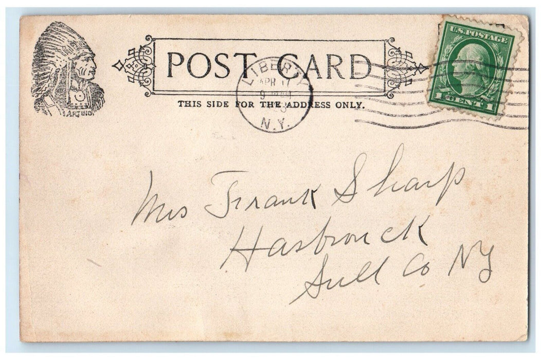 1923 Aerial View Buildings Houses Trees Street Ferndale New York Posted Postcard
