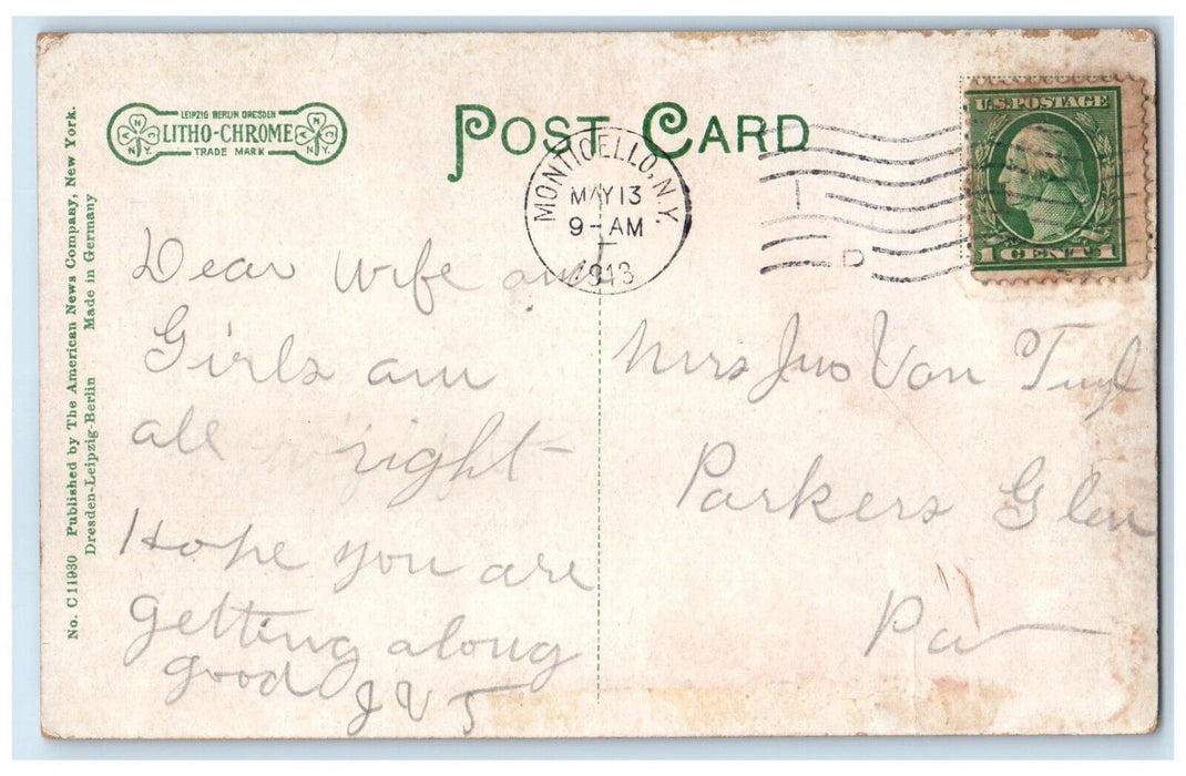 1913 Scenic View Depot Street Road Trees Buildings Monticello New York Postcard