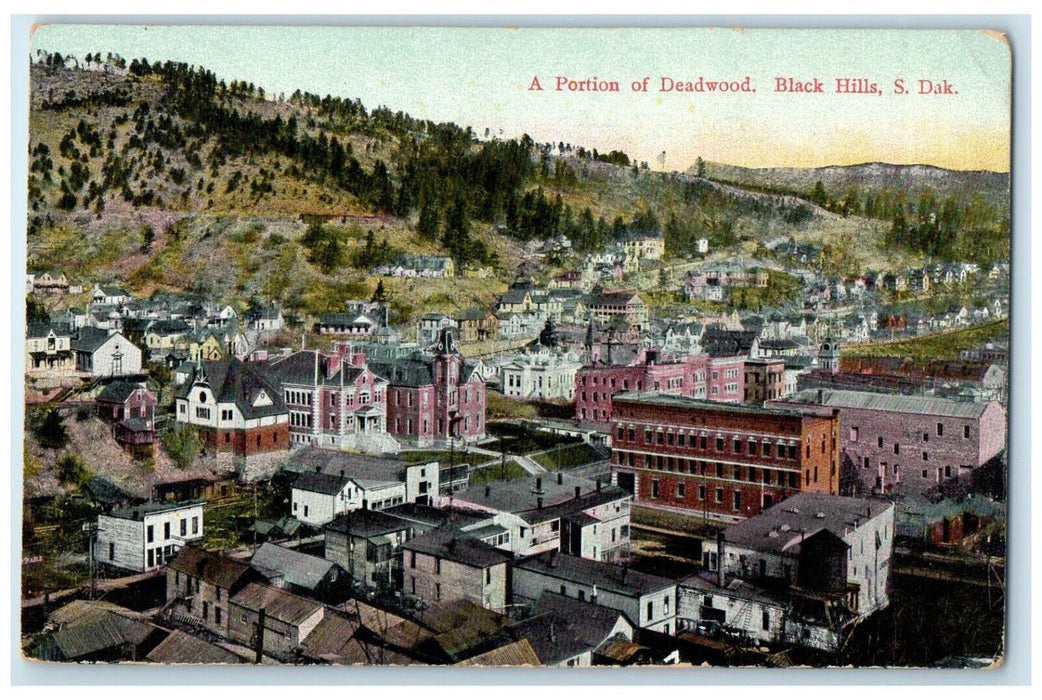 c1910 Portion Deadwood Exterior Building Trees Black Hills South Dakota Postcard