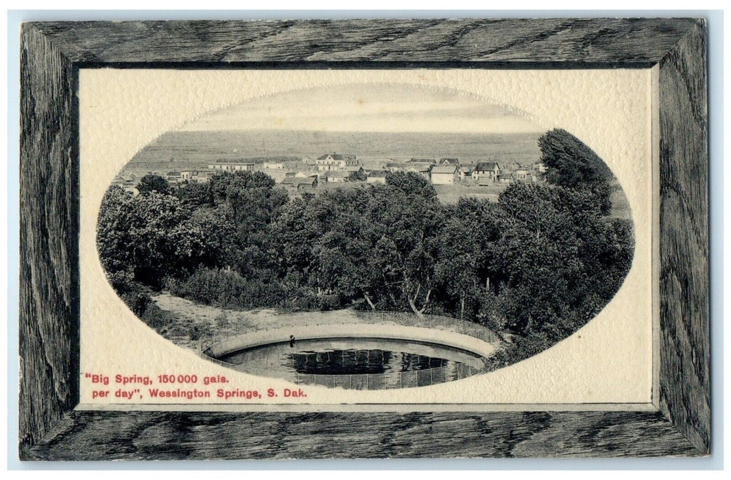 c1910 Big Spring  Trees Embossed Frame Wessington Springs South Dakota Postcard