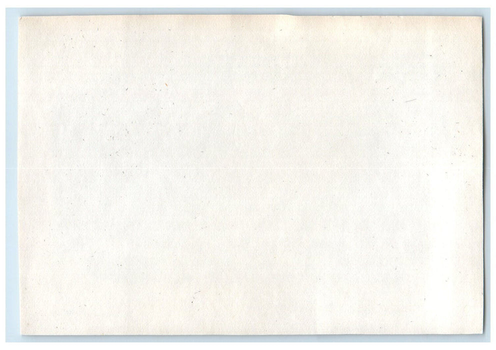 1914 Forest Lawn Cemetery Buffalo New York NY Antique Unposted Photo