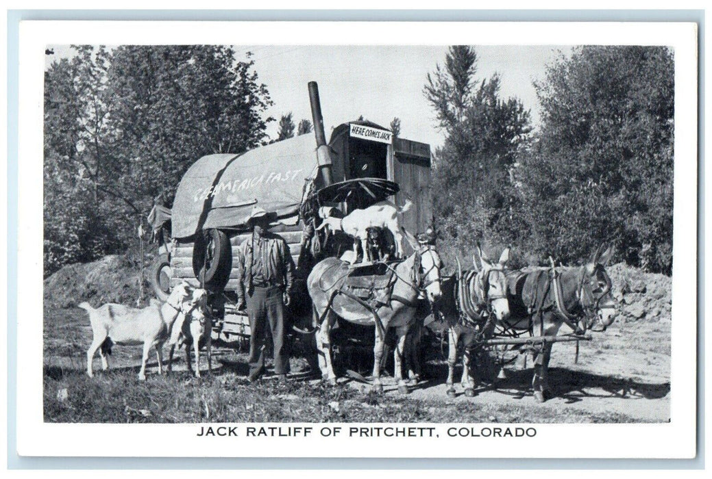 c1950's Jack Ratliff Of Pritchett Colorado CO, Horses Carriage Goat Postcard