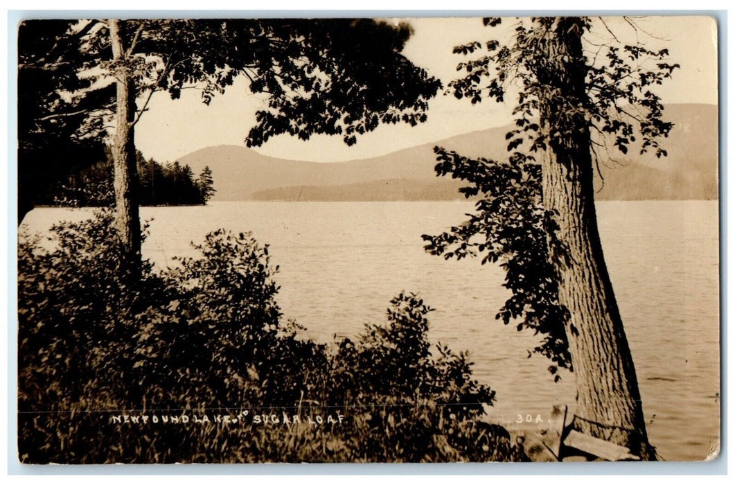 c1910s Newfound Lake And Sugar Loaf New Hampshire NH RPPC Photo Antique Postcard