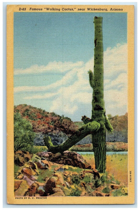 1952 Famous Walking Cactus Patriarch Wickenburg Arizona Vintage Antique Postcard