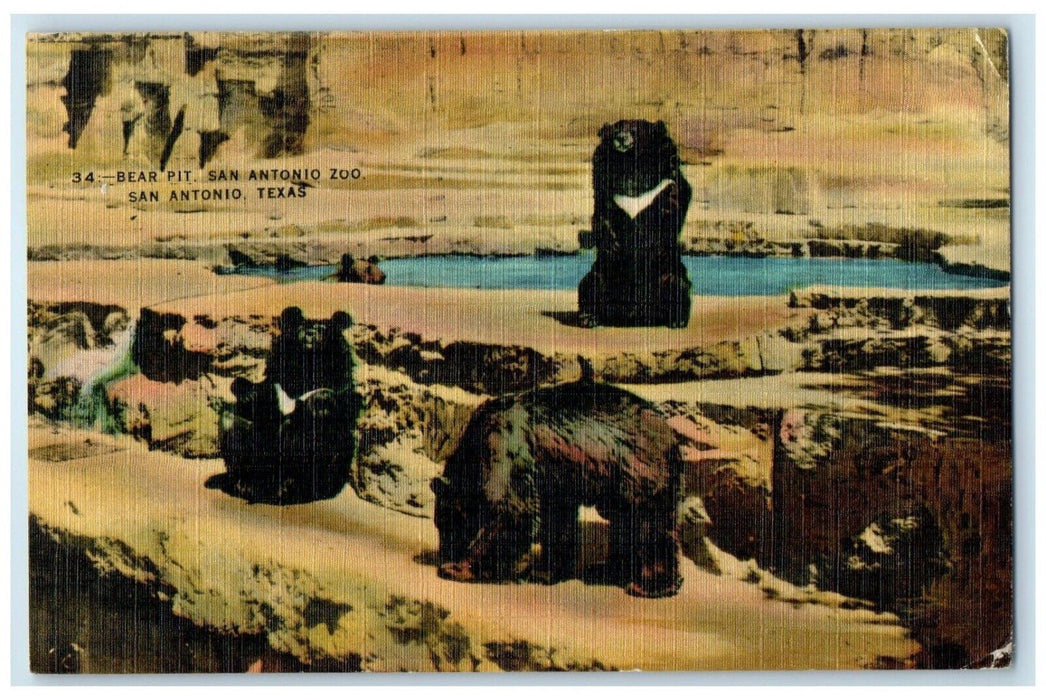 c1950 Bear Pit San Antonio Zoo Animals San Antonio Texas Posted Vintage Postcard
