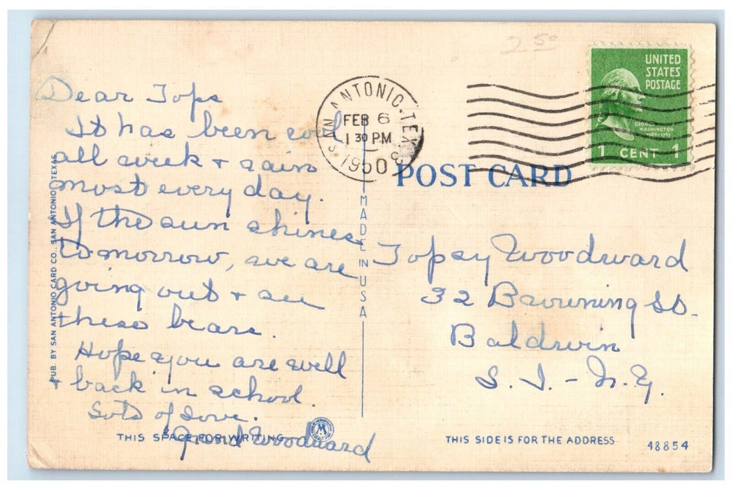 c1950 Bear Pit San Antonio Zoo Animals San Antonio Texas Posted Vintage Postcard