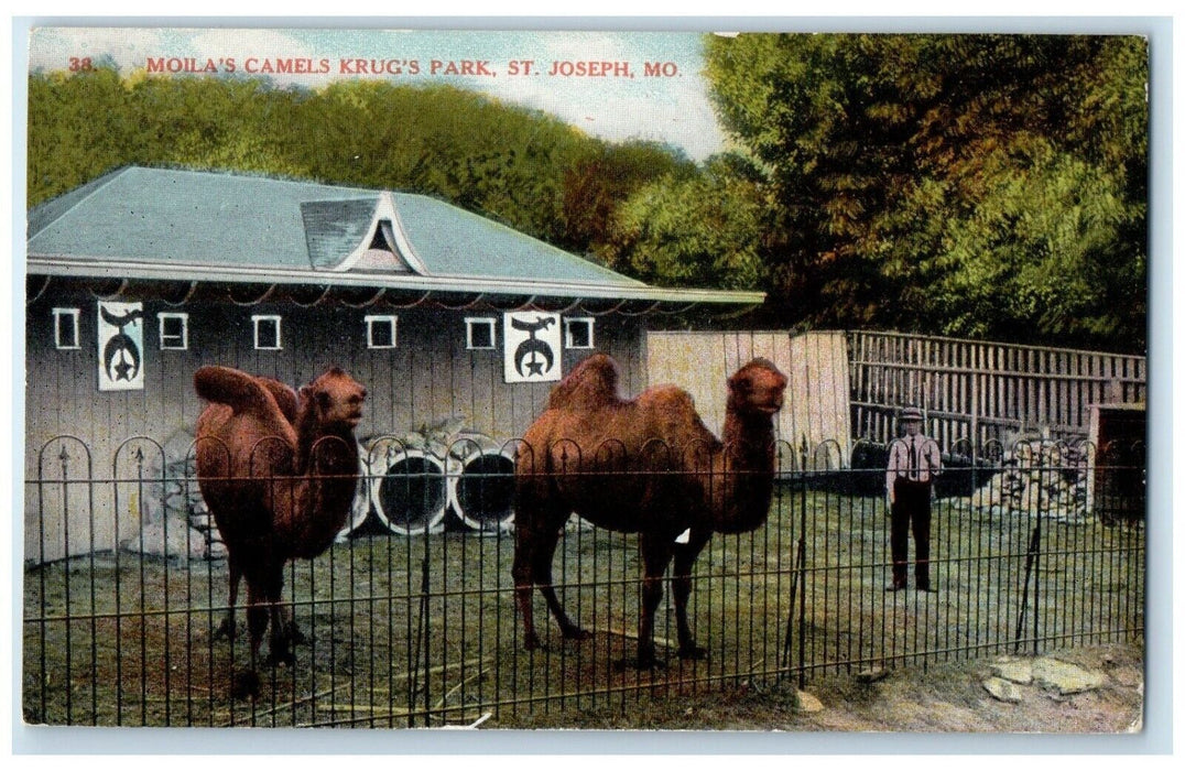 1910 Exterior View Moila Camels Krug Park St Joseph Missouri MO Antique Postcard