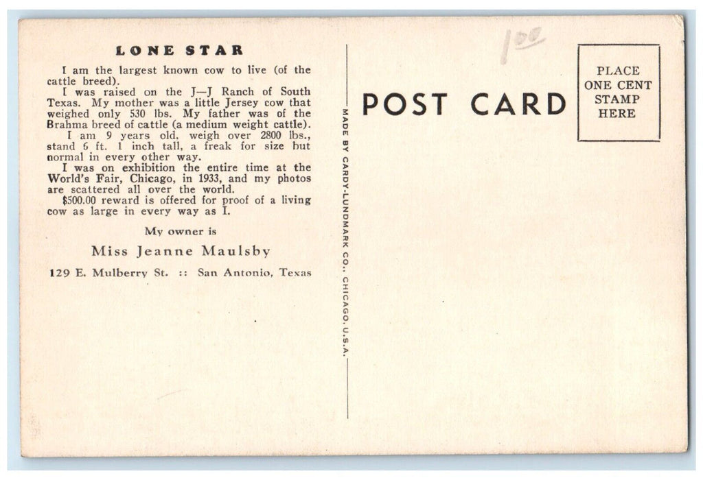 c1940 Lone Star Poem Miss Jeanne Maulsby San Antonio Texas TX Unposted Postcard
