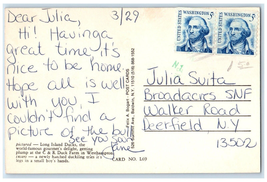 c1960 Long Island Duck C & R Duck Farm Multi-View Westhampton New York Postcard