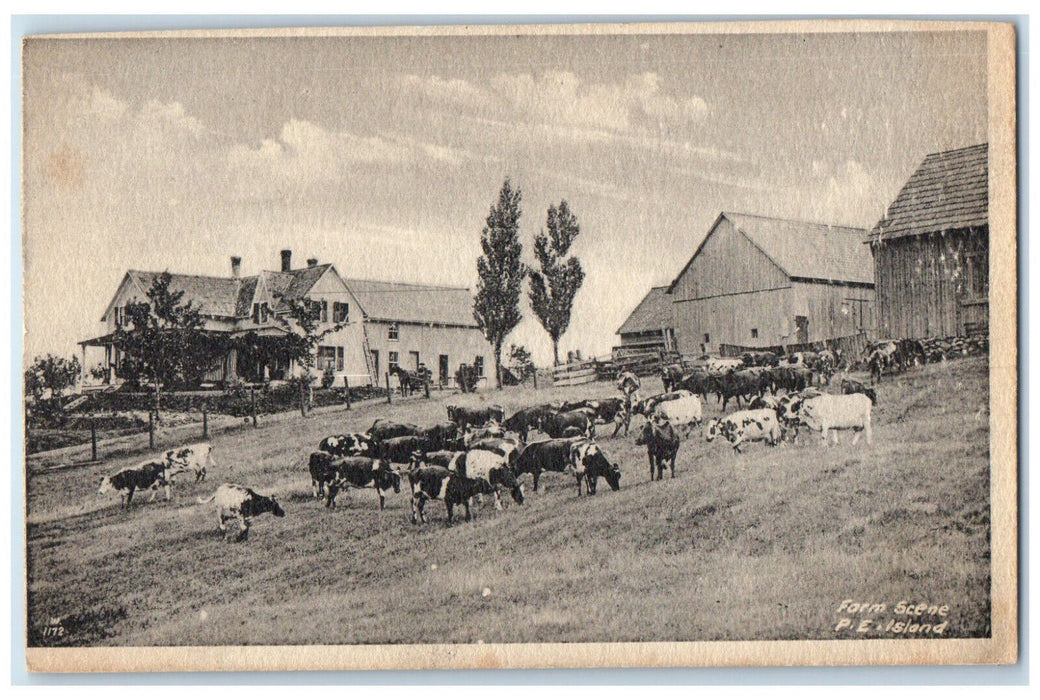 c1920's Farm Scene Prince Edward Island Canada Posted Antique Postcard