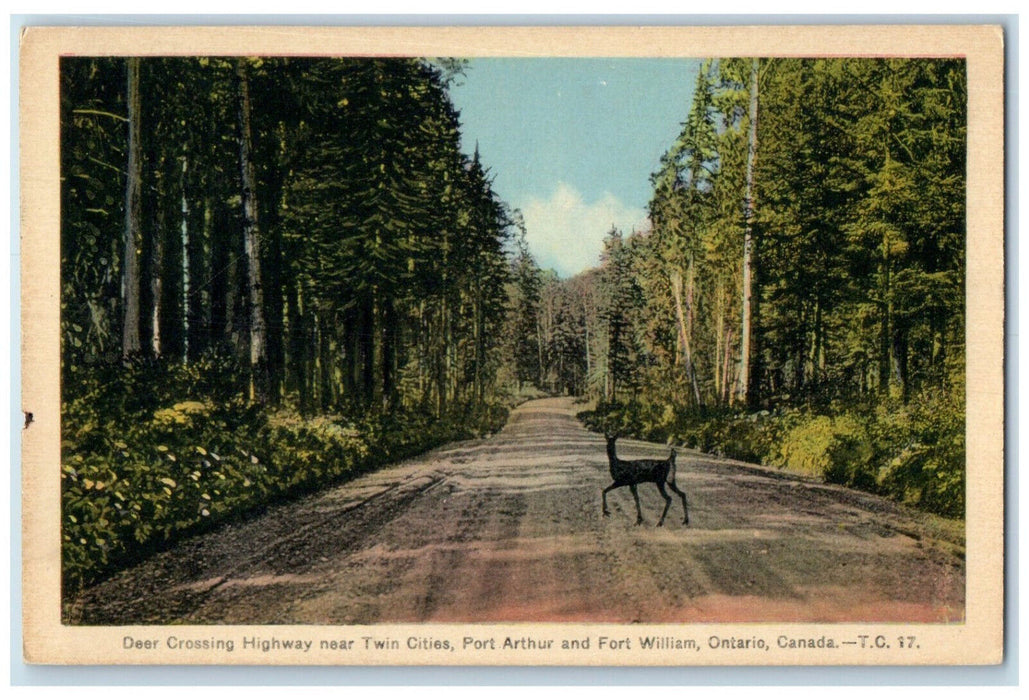 c1950's Deer Crossing Highway Fort William Ontario Canada Unposted Postcard