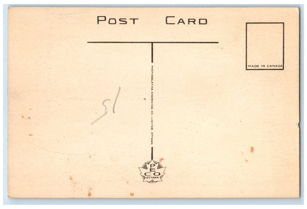 c1950's Deer Crossing Highway Fort William Ontario Canada Unposted Postcard