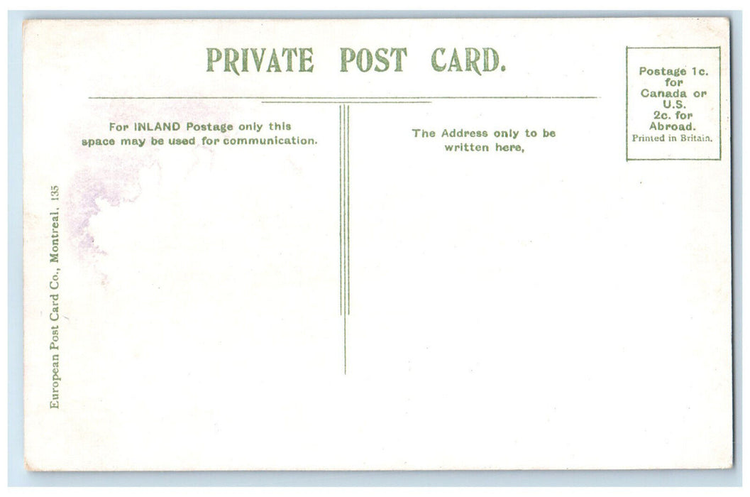 c1910 Mc Gill College Montreal Quebec Canada Antique Unposted Postcard
