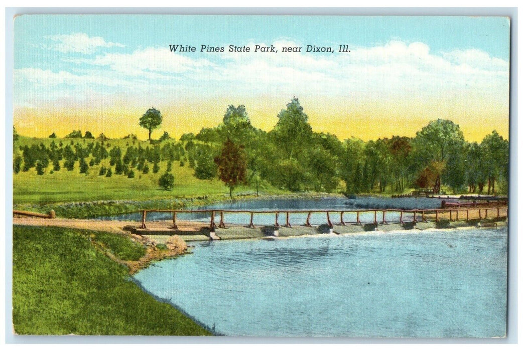 1940 Scenic View White Pines State Park Dixon Illinois Vintage Unposted Postcard