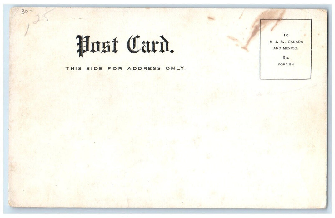 c1905 Schmidt's Corner Ice Cream Dirt Road North Branch New York NY Postcard