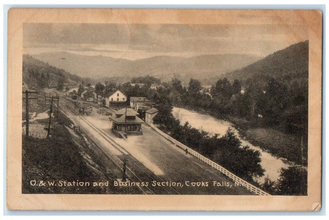1924 O & W Station And Business Section Cooks Falls New York NY Antique Postcard
