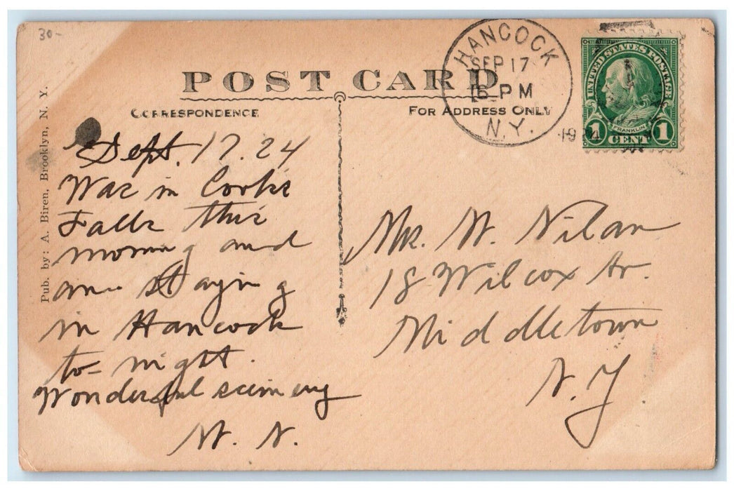 1924 O & W Station And Business Section Cooks Falls New York NY Antique Postcard
