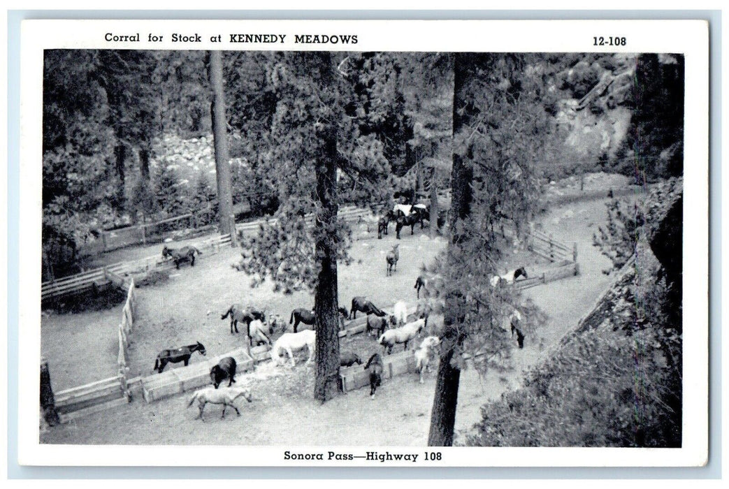 c1940 Corral Stock Kennedy Meadows Horse Sonora Pass Highway California Postcard