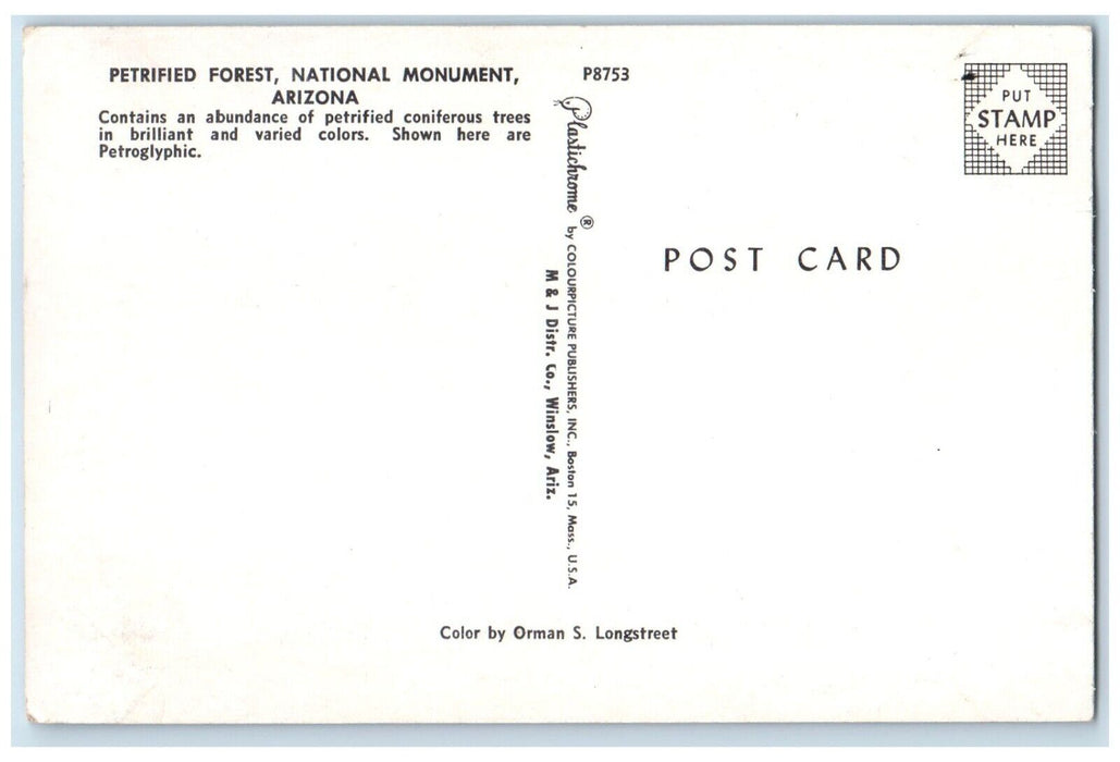 1960 Petrified Forest National Monument Petroglyphic Winslow Arizona AZ Postcard