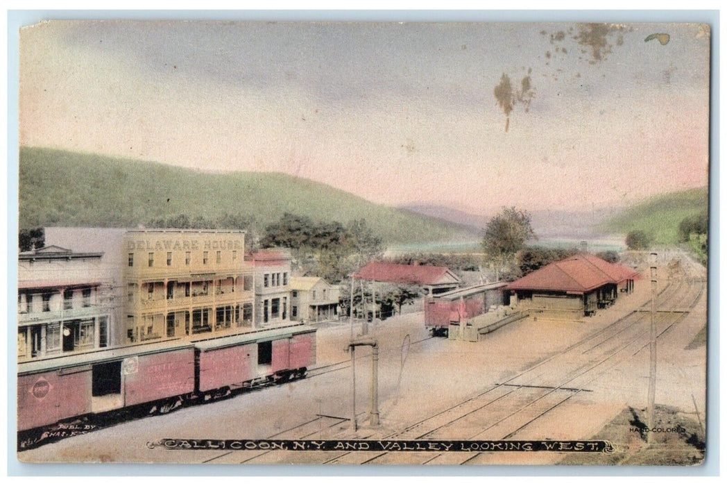 c1910's Callicoon New York NY And Valley Looking West Depot Station Postcard