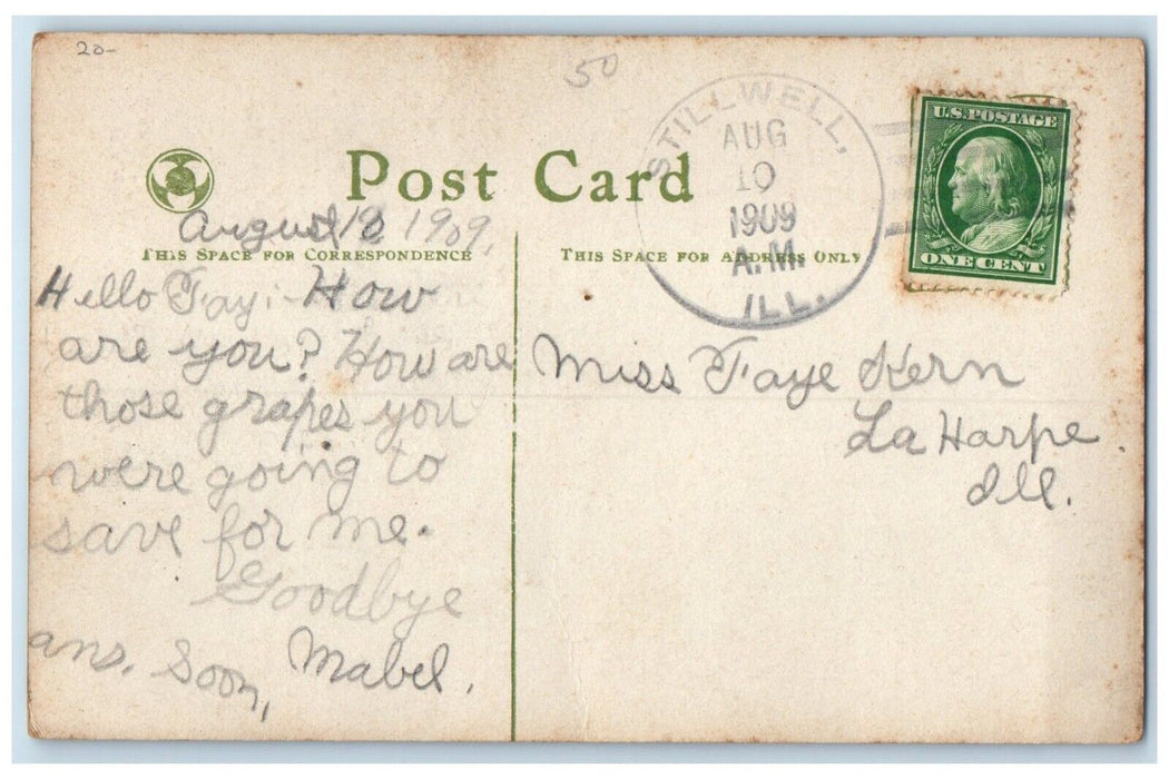 1909 Roses Flowers Stillwell Illinois To La Harpe Duane Cancel 1 Cent Postcard