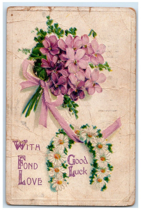 1910 Goodluck Horseshoe Flowers Colusa Illinois IL Purple Cancel 1 Cent Postcard