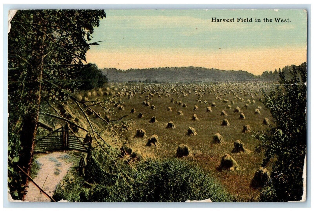 1912 Harvest Field West Manchester South Dakota Posted Vintage Antique Postcard