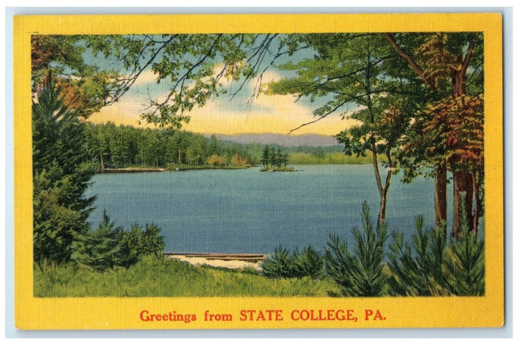 c1940 Greetings From State College Pennsylvania PA Forest River Antique Postcard