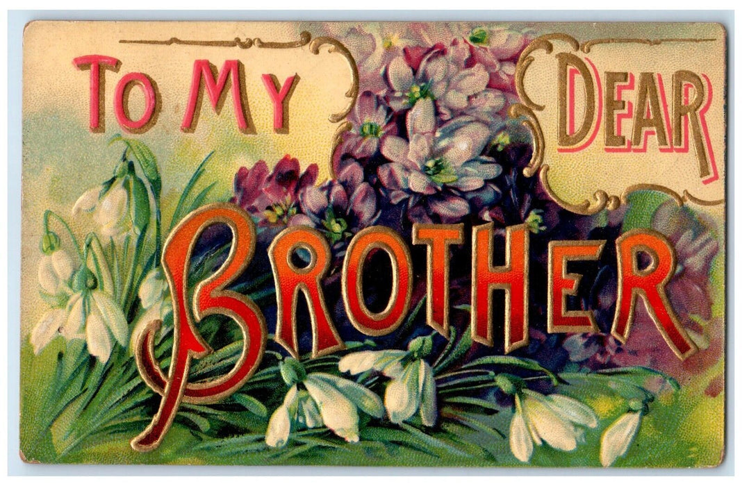 1909 To My Dear Brother Flowers Busch Missouri MO DPO Ghost Town 1 Cent Postcard