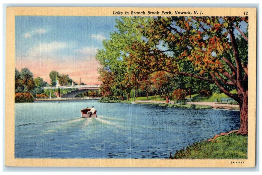 c1940 Scenic View Canoeing Lake Branch Brook Park Newark New Jersey NJ Postcard