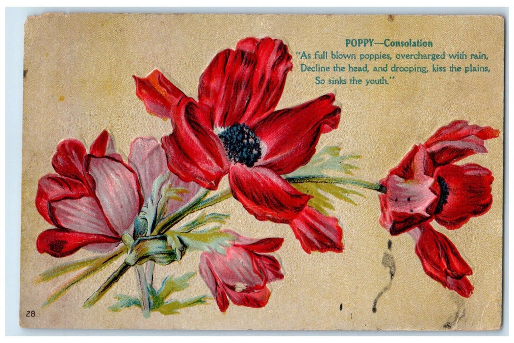 1911 Poppy Flowers Glade Pennsylvania DPO New Germantown Duane Cancel Postcard