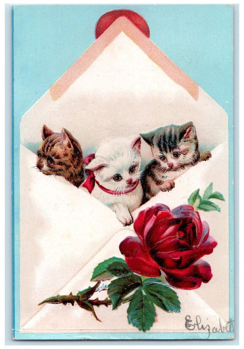 Cat Kittens Flowers Jerusalem New York NY DPO 1870-1912 Duane Cancel Postcard