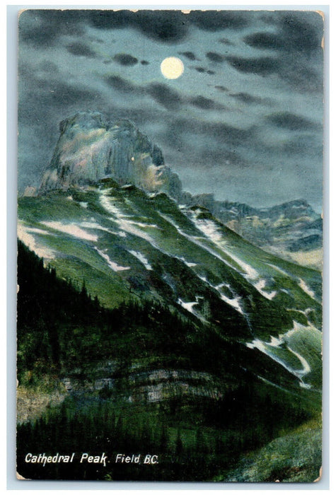 1909 Cathedral Park Field British Columbia Canada Posted Antique Postcard
