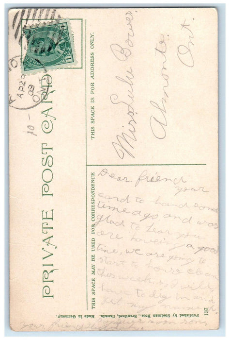 1909 Cathedral Park Field British Columbia Canada Posted Antique Postcard