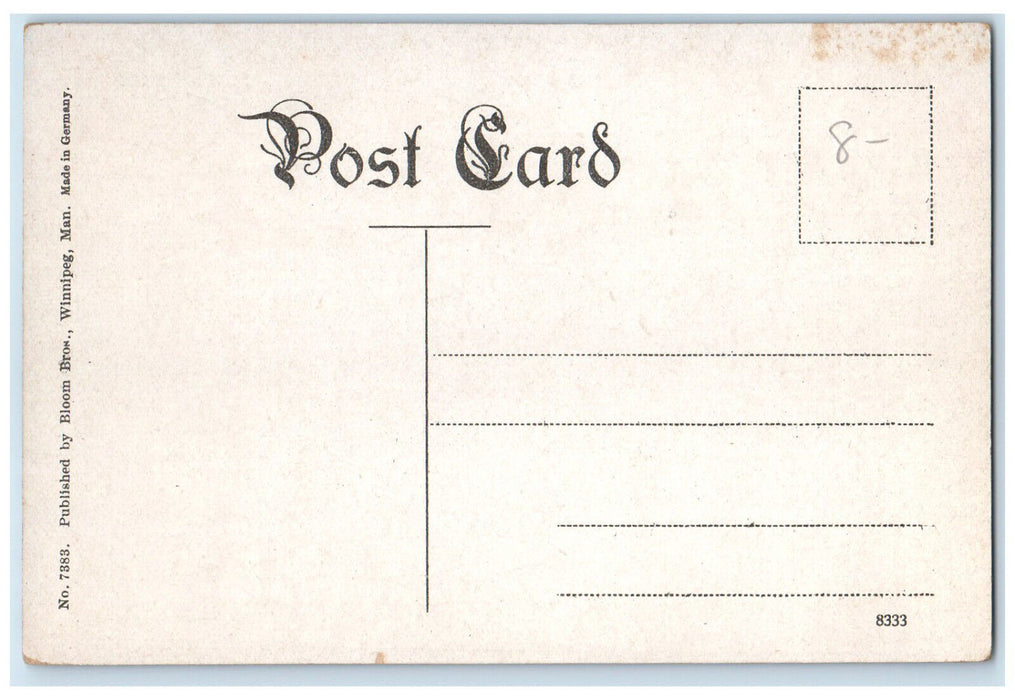 c1910 Mount Fernie Railway Fernie British Columbia Canada Unposted Postcard