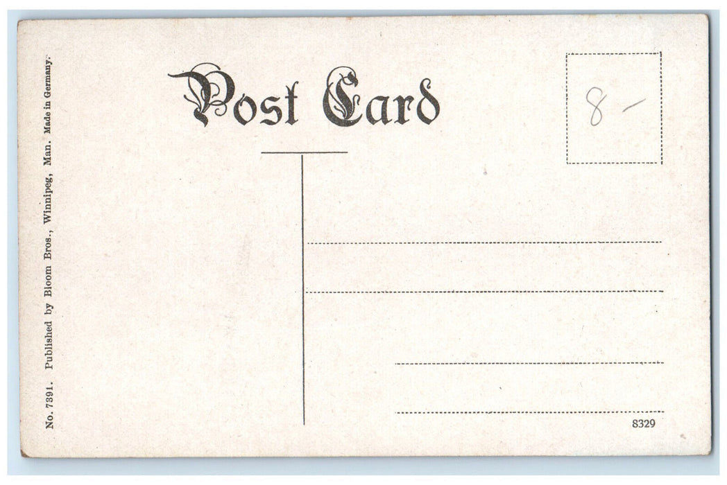 c1910 Trinity Mountain Fernie British Columbia Canada Unposted Postcard