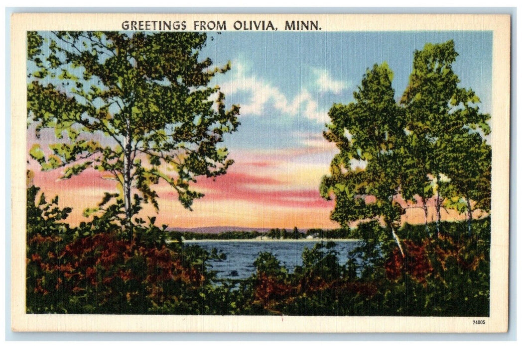 c1940 Greetings From Trees River Lake Olivia Minnesota Vintage Antique Postcard