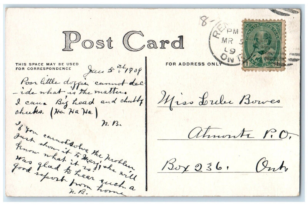 1908 The Reconnoiter Little Girl Doll And Dog Posted Antique Postcard