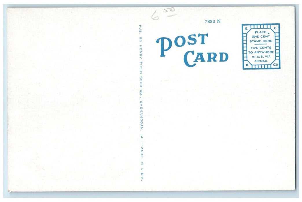 c1920 Buildings Number Two Three Henry Field Seed Rail Shenandoah Iowa Postcard