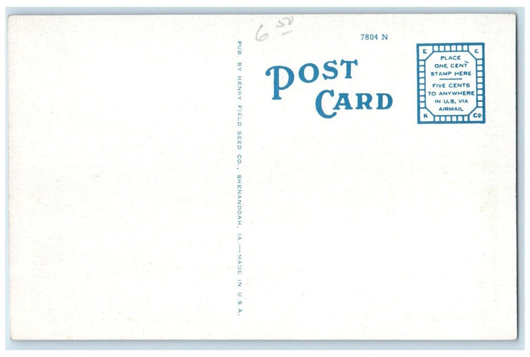c1920 One Gardens Henry Field Seed Flowers Shenandoah Iowa IA Vintage Postcard