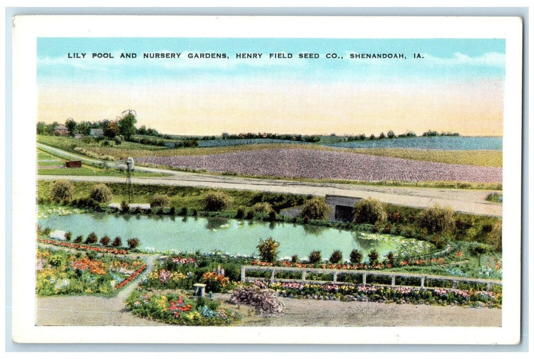 c1920 Lily Pool Nursery Gardens Henry Field Seed Flower Shenandoah Iowa Postcard