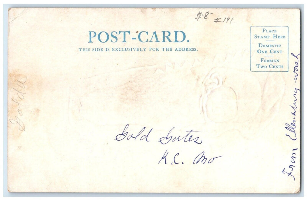 c1905 Baby Indian Papoose Embossed Posted Antique Postcard