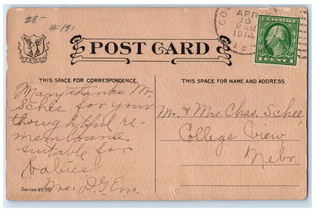 1914 Stork Baby Bare Butt Joined Family Circle College View Nebraska NE Postcard