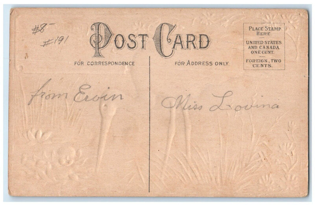 c1910's Hearty Congratulations Stork Baby Lily Pad Flowers Embossed Postcard