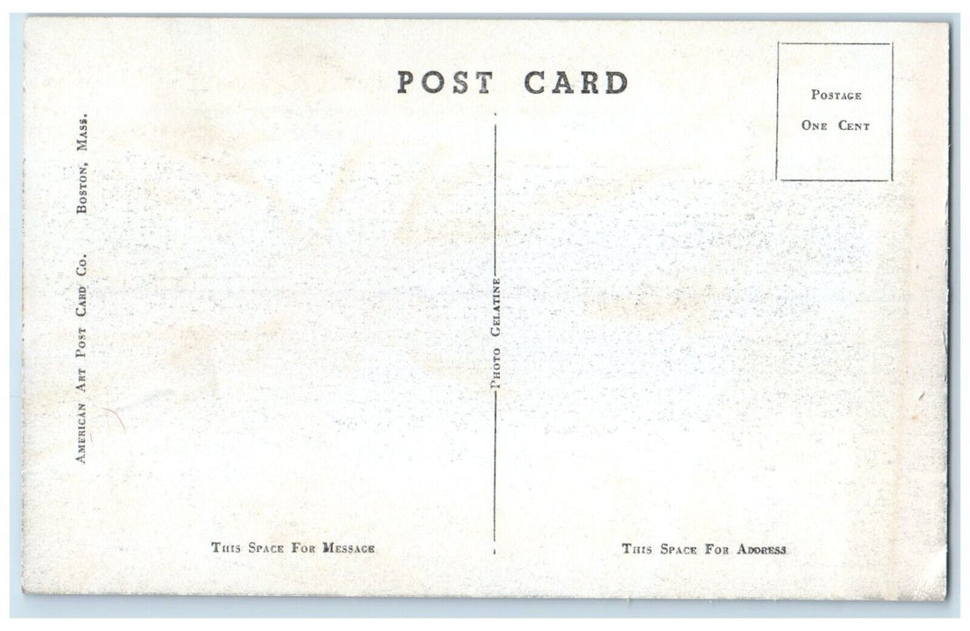 American Eagles In Nest Acadia National Park Mt. Desert Island ME Postcard
