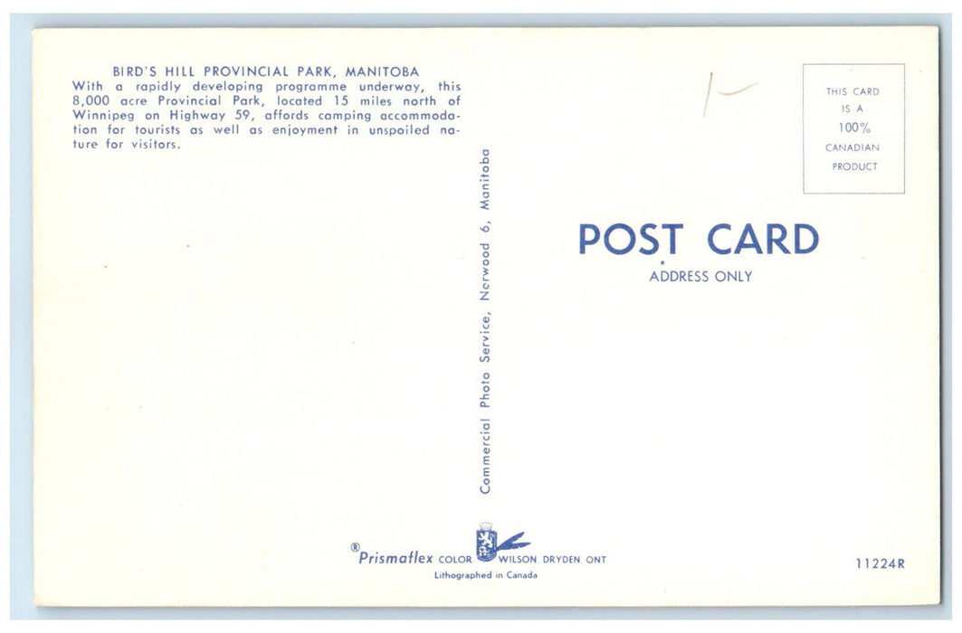 c1950's Bird's Hill Provincial Park Manitoba Canada Vintage Postcard