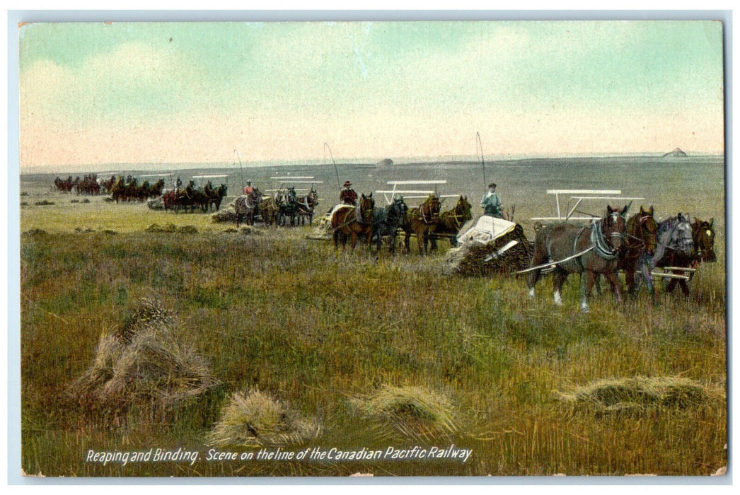 c1910 Farming Reaping and Binding Scene on Canadian Pacific Railway Postcard