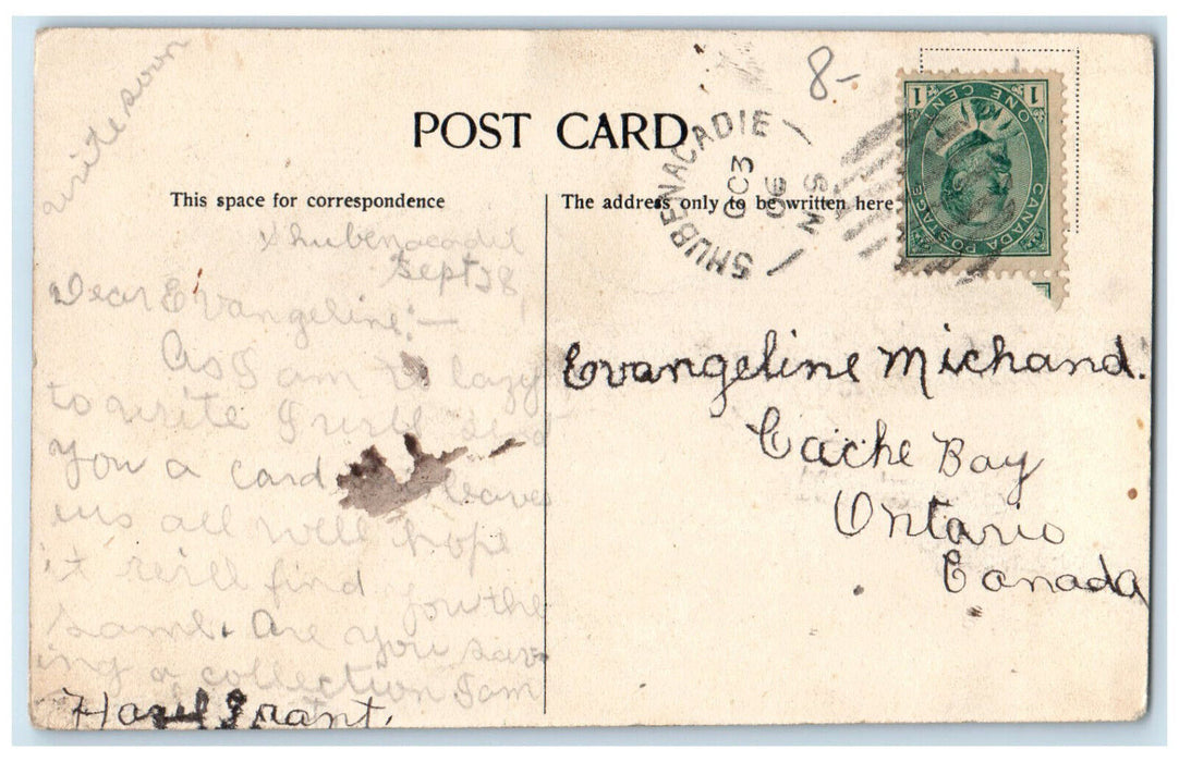 1906 Scene Near The Post Office Truro Nova Scotia Canada Antique Postcard